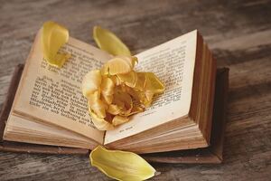 年度最佳50句負能量段子，看完心裡舒坦多了