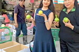 高雄LV級蜜棗 進軍香港超市