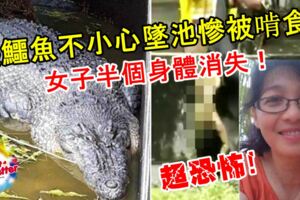 【超恐怖！】女子餵鱷魚不小心墜池慘被啃食！女子半個身體消失！