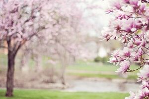 經歷過風雨無常，才能讀到落淚的龍應台語錄！