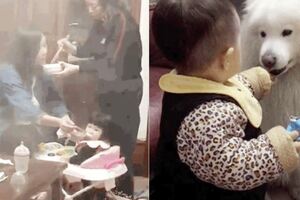 最感動的24張圖，你看到第幾張哭了？