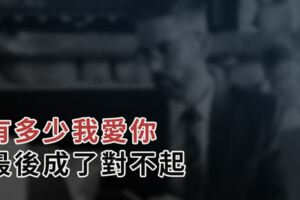 有多少我愛你，最後成了對不起...