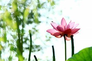 掙錢再多有什麼用？（都看看吧！）