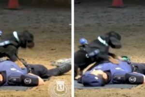 警察當場倒地不起，身旁警犬立刻「檢查呼吸更CPR急救」！英雄式機靈反應，網讚：太聰明了！！