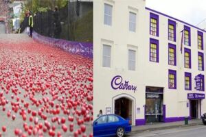 不可思議，這家巧克力公司倒閉了，450萬人搶著捐款，硬生生給救活了：曾經付出的善良，或許不會馬上回報，但一定會得以彌補