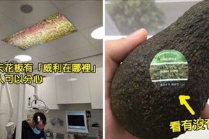 30個早該這麼做的「解決所有問題」超天才發明　乘客帶「垃圾」上車竟然可以拯救地球