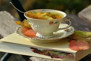 那些驚艷到你的句子，文藝暖心，讓人愛到骨子裡！