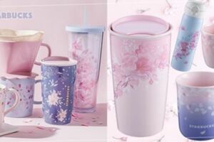 粉嫩浪漫櫻花雨～星巴克推出「櫻花杯」，點綴著櫻花圖樣的單品讓人荷包不保