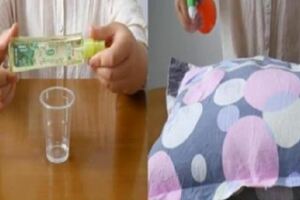 枕頭一月不洗蟎蟲成窩，教你一個土方法，一輩子都不會生蟎蟲，太實用了