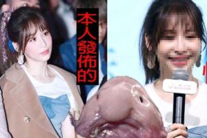 甜心→崩壞水滴魚？王心凌近況曝光「嘴唇詭異腫脹」網看哭了：拜託阿姨別再整