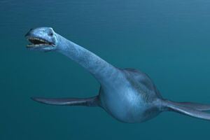 南極洲發現7000萬年前的「巨獸化石」　網驚呼：找到尼斯湖水怪了
