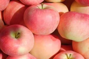 預防血管硬化多吃蘋果海帶