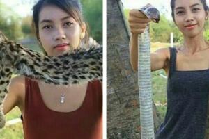 柬埔寨美女通過網路直播吃野生動物，引髮網友憤怒，結果被逮捕！
