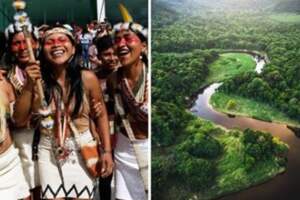 守護成功！土地被不肖公司A走　亞馬遜少數部落成功「討回500000畝雨林」