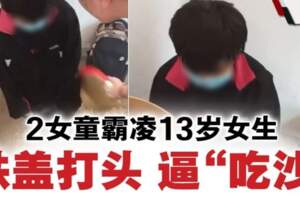 13歲女生遭霸凌·兩名12歲女童用鐵蓋打頭