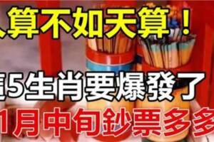 11月中旬橫財大漲，鈔票多多，這五生肖要爆發了