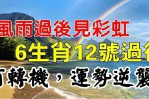 風雨過後見彩虹，12月12號過後有轉機，運勢逆襲的生肖