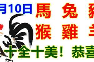 1月10日生肖運勢_馬、兔、豬大吉