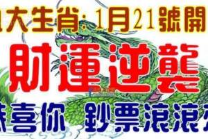 1月21號開始財運逆襲，鈔票滾滾來的生肖