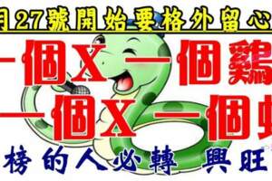 1月27號開始要格外留心了，一個X，一個雞，一個X，一個蛇~上榜必轉