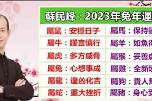 2023年十二生肖運程