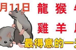 2月11日十二生肖【每日老黃曆】