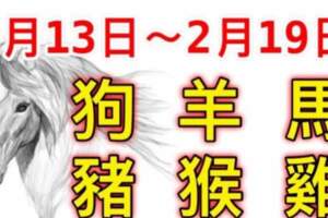 12生肖一周（2.13~2.19）