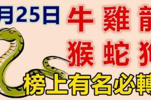 2月25日生肖運勢_牛、雞、龍大吉