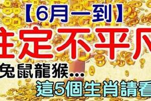 6月一到註定不平凡，這五個生肖請看