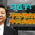 大家談中國：一個大陸人的觀點看台灣