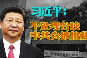 大家談中國：一個大陸人的觀點看台灣