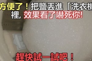 太方便了！把鹽丟進「洗衣機」裡, 效果看了嚇死你!趕快試一試吧!