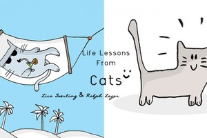 14個貓咪教導我們的人生道理！