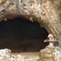 兩名探險家驚喜發現「古怪洞穴」，他們忍不住駐足觀察，發現令人大吃一驚的事情！
