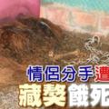 情侶分手遭遺棄藏獒餓死化骨