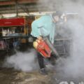 高雄市登革熱再增1例 70歲男染病住院中