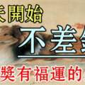 明天開始不差錢，有福運的生肖