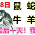 2月28日生肖運勢_鼠、蛇、龍大吉