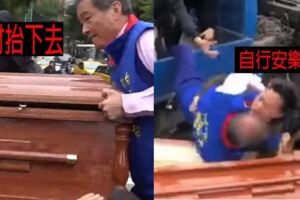 糗爆片！白狼抬棺到立院抗議…下一秒「慘摔入棺材」網友笑翻：上釘封棺、安樂死（影