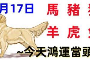 8月17日十二生肖運程【每日老黃曆】