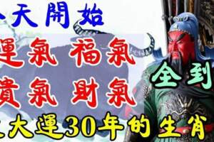 今天開始運氣、福氣、貴氣、財氣全到，走大運30年的生肖