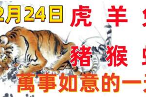 12月24日十二生肖【每日老黃曆】