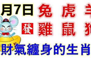 2月7日生肖運勢_兔、虎、羊大吉