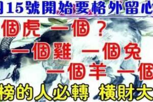 5月15號開始要格外留心了，一個虎，一個？一個雞，一個兔，一個羊，一個？必轉