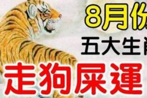 8月份走狗屎運的五大生肖