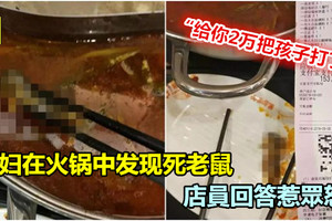 孕婦吃火鍋發現死老鼠 店員回答惹眾怒 《內附視頻》