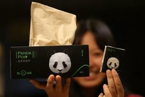 大熊貓便便能做紙巾，售價43元1盒，你想試試嗎？