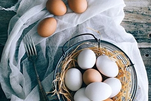 白皮雞蛋和紅皮雞蛋到底有什麼區別？終於明白了！