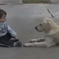 唐氏症男孩因為沒有朋友而暗自傷心，狗狗向他伸出友誼之爪！