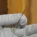 世界上最古老的針長什麼樣？長3英寸 人骨製成
